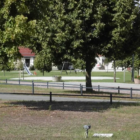 Apartment Haustierfreundliche Mit Garten